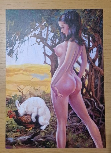 Maghella couverture 51 - couverture,