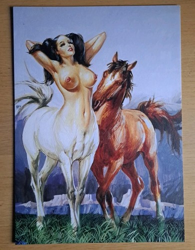 Maghella couverture 34 - couverture,